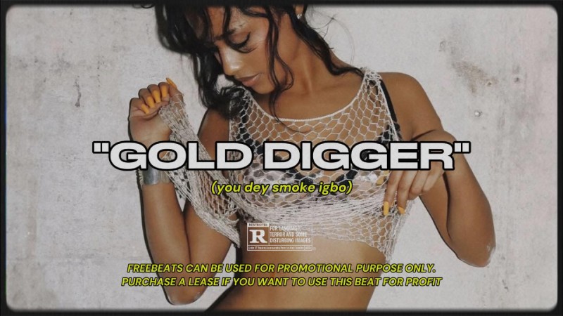 Gold Digger - Afrobeats type beat