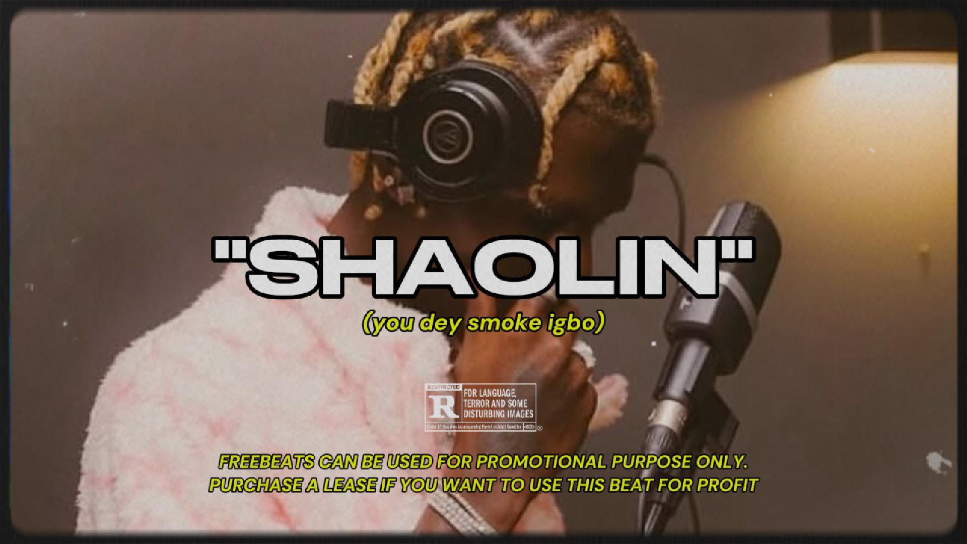 SHAOLIN - Amapiano type beat